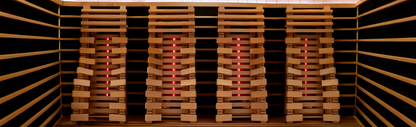Longevity Pro Red light + Infrared Sauna